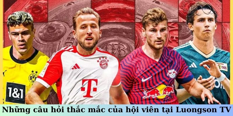 Những câu hỏi thắc mắc của hội viên tại Luongson TV